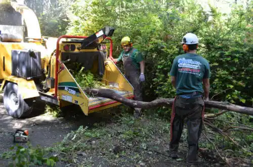 tree services Greenland